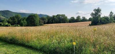 Terrain à Coutens en Ariège (09) de 487 m² à vendre au prix de 29900€ - 4