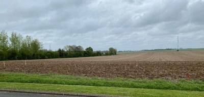 Terrain à Tilloy-lès-Hermaville en Pas-de-Calais (62) de 800 m² à vendre au prix de 50000€ - 3