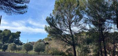 Terrain à Barjols en Var (83) de 770 m² à vendre au prix de 77000€ - 2