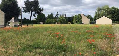 Terrain et maison à Crotelles en Indre-et-Loire (37) de 78 m² à vendre au prix de 231409€ - 3