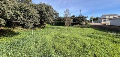 Terrain à Clermont-l'Hérault en Hérault (34) de 800 m² à vendre au prix de 177000€ - 1