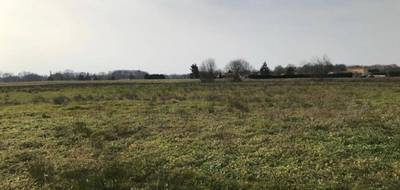 Terrain à Clermont en Landes (40) de 775 m² à vendre au prix de 64000€ - 1