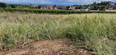 Terrain et maison à Beblenheim en Haut-Rhin (68) de 125 m² à vendre au prix de 470000€ - 4