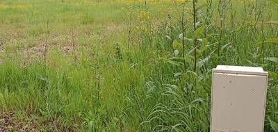 Terrain et maison à Les Magnils-Reigniers en Vendée (85) de 80 m² à vendre au prix de 178512€ - 4