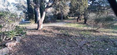 Terrain à Vidauban en Var (83) de 600 m² à vendre au prix de 149000€ - 1