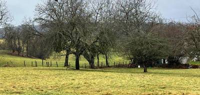 Terrain à Boisset en Cantal (15) de 3000 m² à vendre au prix de 32000€ - 1