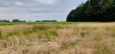 Terrain et maison à Mesnil-en-Ouche en Eure (27) de 95 m² à vendre au prix de 190000€ - 3