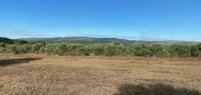 Terrain à Rognes en Bouches-du-Rhône (13) de 310 m² à vendre au prix de 199900€ - 3