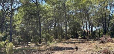 Terrain et maison à Pierrefeu-du-Var en Var (83) de 75 m² à vendre au prix de 319000€ - 4