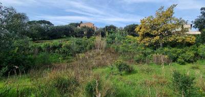 Terrain à Sainte-Maxime en Var (83) de 1568 m² à vendre au prix de 630000€ - 4