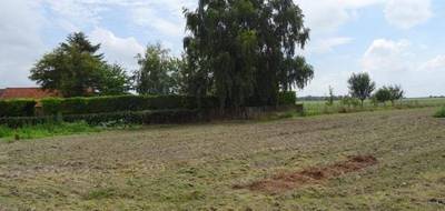 Terrain à Cambrai en Nord (59) de 1559 m² à vendre au prix de 50000€ - 2