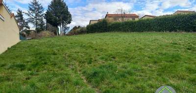 Terrain à Monistrol-sur-Loire en Haute-Loire (43) de 30140 m² à vendre au prix de 132492€ - 2