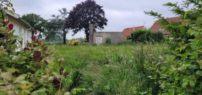 Terrain et maison à Ardres en Pas-de-Calais (62) de 100 m² à vendre au prix de 245000€ - 3