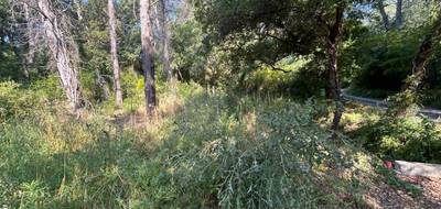 Terrain à Lorgues en Var (83) de 1882 m² à vendre au prix de 180000€ - 1