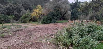 Terrain à Cuers en Var (83) de 920 m² à vendre au prix de 250000€ - 1