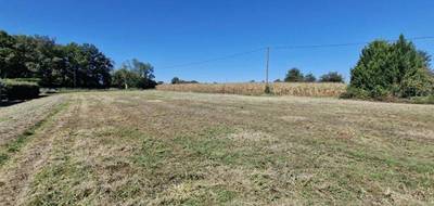 Terrain à Hagetaubin en Pyrénées-Atlantiques (64) de 1957 m² à vendre au prix de 34500€ - 1