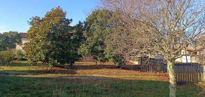 Terrain et maison à Andernos-les-Bains en Gironde (33) de 150 m² à vendre au prix de 750000€ - 3