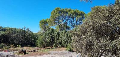 Terrain à Pierrefeu-du-Var en Var (83) de 340 m² à vendre au prix de 150000€ - 2