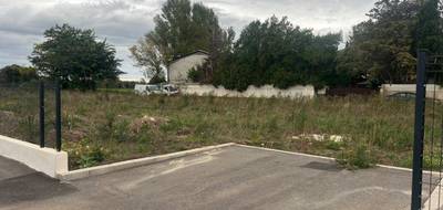 Terrain à Saint-Martin-de-Crau en Bouches-du-Rhône (13) de 500 m² à vendre au prix de 250000€ - 3