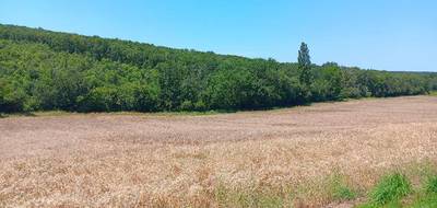 Terrain à Montjoire en Haute-Garonne (31) de 1018 m² à vendre au prix de 107500€ - 1