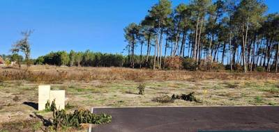 Terrain à Pissos en Landes (40) de 555 m² à vendre au prix de 74000€ - 1