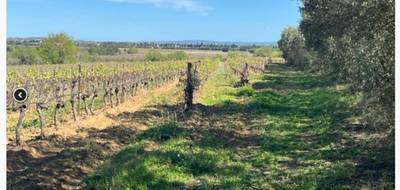 Terrain et maison à Argeliers en Aude (11) de 90 m² à vendre au prix de 230000€ - 4