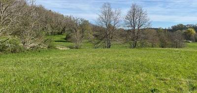 Terrain à Nabirat en Dordogne (24) de 3225 m² à vendre au prix de 29400€ - 1