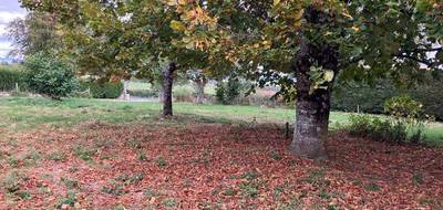 Terrain à Prunet en Cantal (15) de 1000 m² à vendre au prix de 30000€ - 2