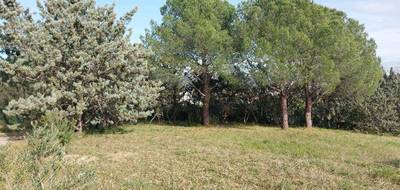 Terrain à Roquebrune-sur-Argens en Var (83) de 950 m² à vendre au prix de 300000€ - 2