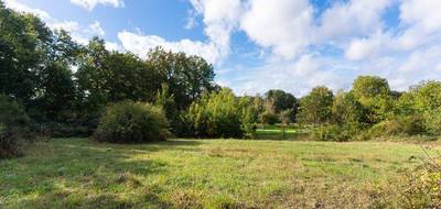 Terrain à Saint-Antoine-du-Rocher en Indre-et-Loire (37) de 236 m² à vendre au prix de 39000€ - 1