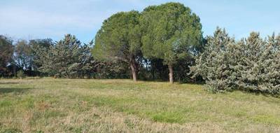 Terrain à Roquebrune-sur-Argens en Var (83) de 950 m² à vendre au prix de 300000€ - 4