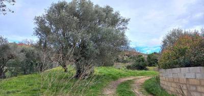 Terrain et maison à Murles en Hérault (34) de 110 m² à vendre au prix de 488000€ - 4