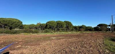 Terrain et maison à Puget-sur-Argens en Var (83) de 95 m² à vendre au prix de 450000€ - 3