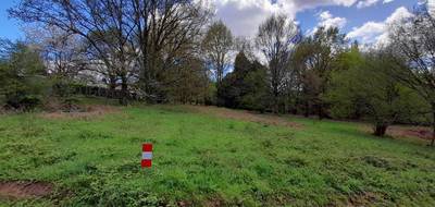 Terrain et maison à Panazol en Haute-Vienne (87) de 105 m² à vendre au prix de 283000€ - 4