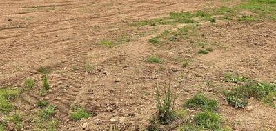 Terrain et maison à Chantonnay en Vendée (85) de 90 m² à vendre au prix de 198511€ - 4