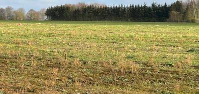 Terrain à Haillicourt en Pas-de-Calais (62) de 424 m² à vendre au prix de 57800€ - 3