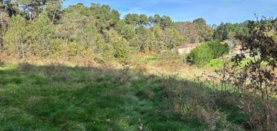 Terrain à Sourzac en Dordogne (24) de 1400 m² à vendre au prix de 24000€ - 1