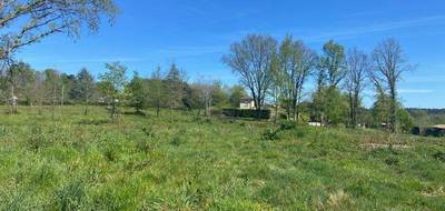 Terrain et maison à Bergerac en Dordogne (24) de 80 m² à vendre au prix de 199209€ - 4