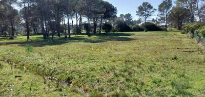 Terrain à Puget-sur-Argens en Var (83) de 5558 m² à vendre au prix de 520000€ - 3