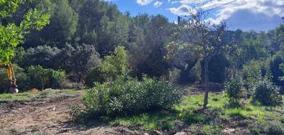 Terrain à Cuers en Var (83) de 919 m² à vendre au prix de 250000€ - 4