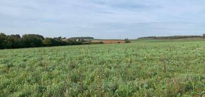 Terrain à Ottange en Moselle (57) de 684 m² à vendre au prix de 246000€ - 2