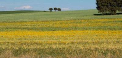 Terrain et maison à La Copechagnière en Vendée (85) de 80 m² à vendre au prix de 177809€ - 4