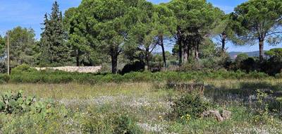 Terrain à Puget-sur-Argens en Var (83) de 656 m² à vendre au prix de 235000€ - 4