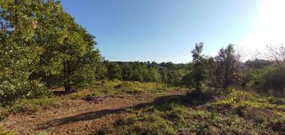 Terrain à Orgnac-l'Aven en Ardèche (07) de 2878 m² à vendre au prix de 76000€ - 1