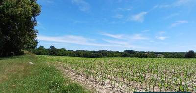 Terrain à Mugron en Landes (40) de 958 m² à vendre au prix de 58900€ - 1