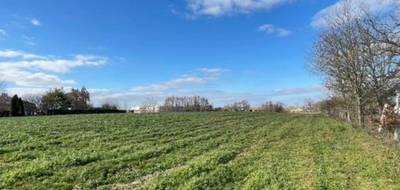 Terrain à Pomarez en Landes (40) de 1010 m² à vendre au prix de 60500€ - 1