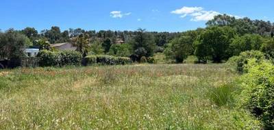 Terrain et maison à Montferrier-sur-Lez en Hérault (34) de 150 m² à vendre au prix de 756000€ - 4