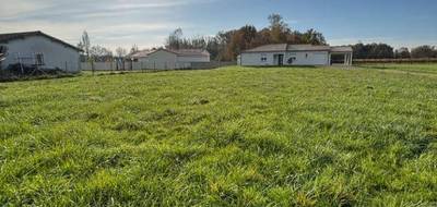 Terrain à Pineuilh en Gironde (33) de 1200 m² à vendre au prix de 39000€ - 1