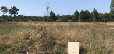 Terrain et maison à Landeronde en Vendée (85) de 80 m² à vendre au prix de 202000€ - 2