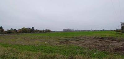 Terrain et maison à Locon en Pas-de-Calais (62) de 146 m² à vendre au prix de 506000€ - 3